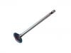 Exhaust Valve:11 34 2 247 077