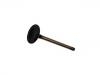 Exhaust Valve:025 109 612 A