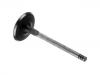 выпускной клапан Exhaust Valve:053 109 611