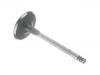 Soupape d'échappement Exhaust Valve:038 109 611 B