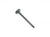 Valvula de escape Exhaust Valve:036 109 611 L