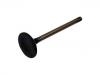 Exhaust Valve:027 109 611 B