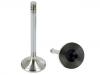 Exhaust Valve:11 34 1 710 788