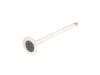 Exhaust Valve:11 34 7 598 273