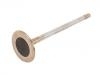 выпускной клапан Exhaust Valve:948 105 312 00